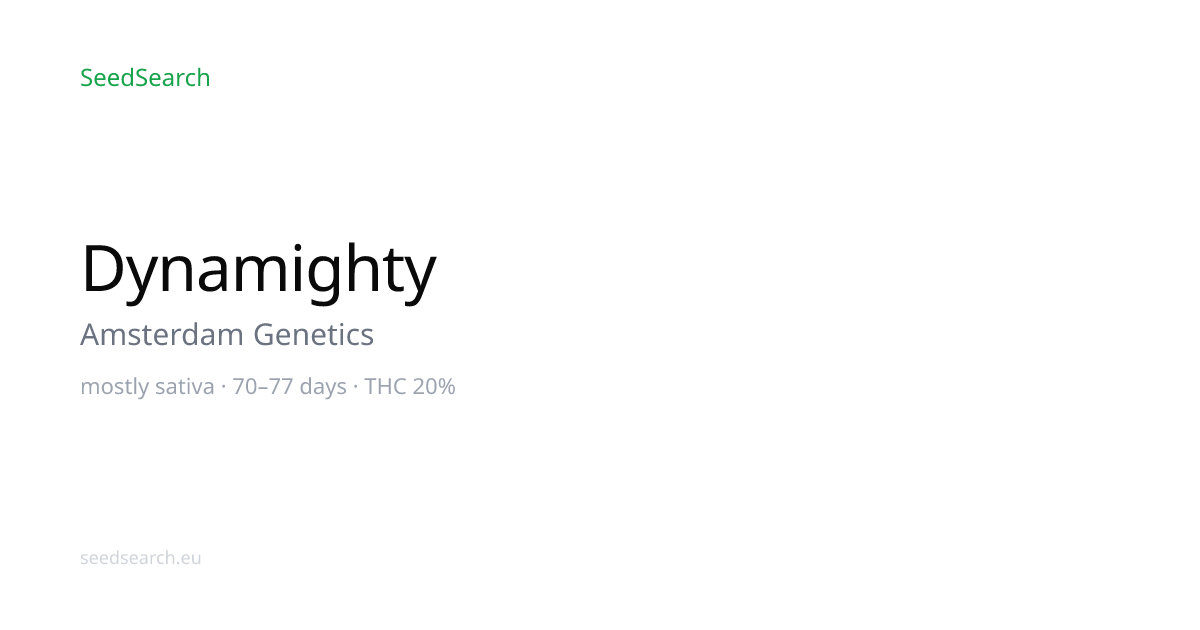 Dynamighty de Amsterdam Genetics — Precios de Semillas